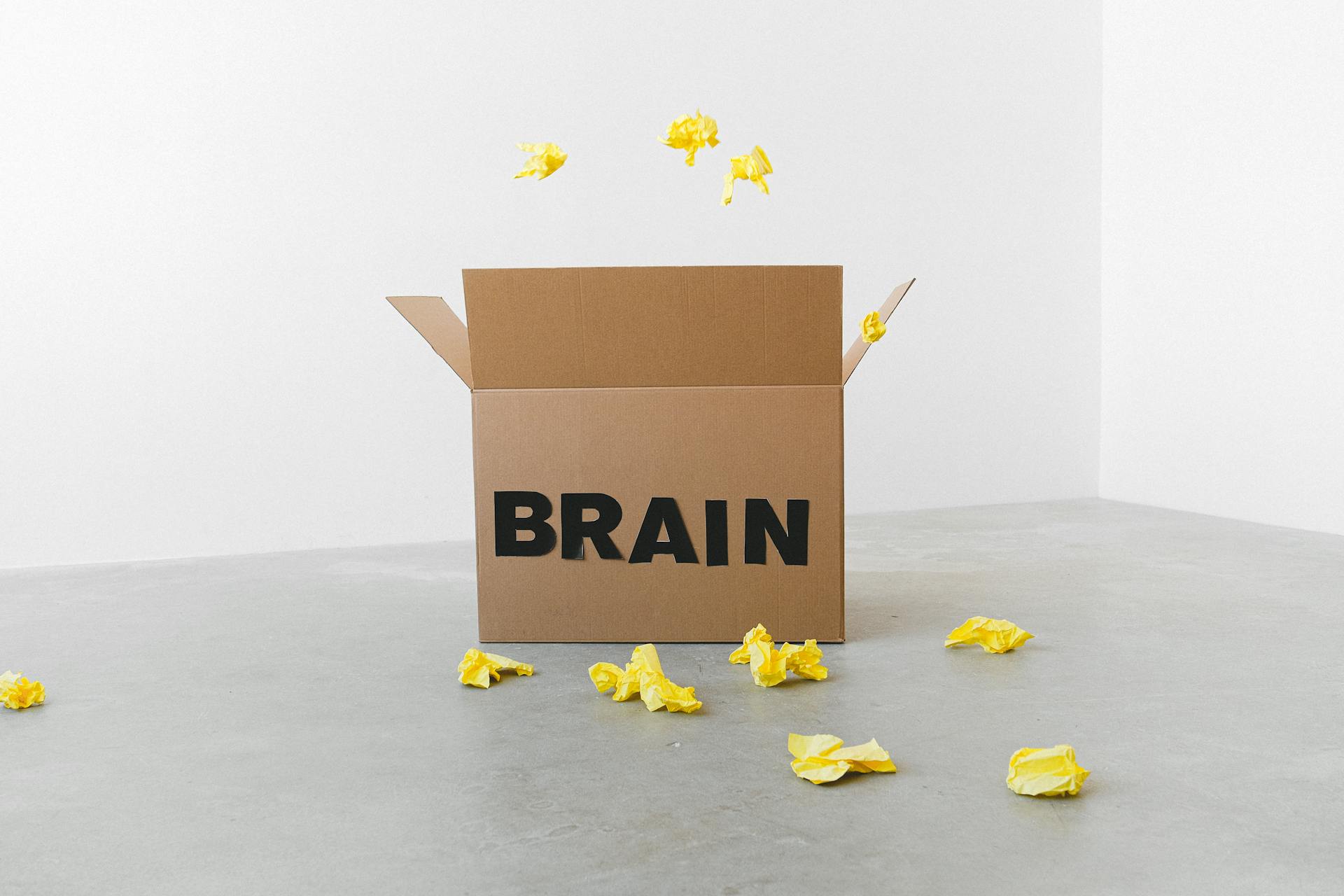 Box labeled ‘brain’ with trash around it.